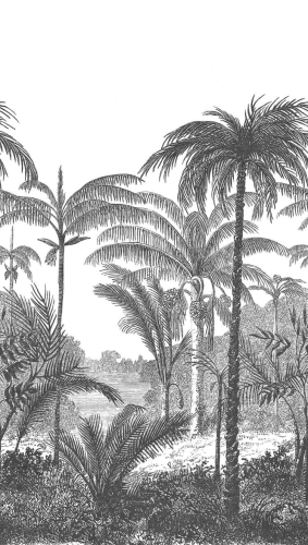 Fototapeta Mural A58201 natura las czarno biała Grandeco Orom 2.jpg