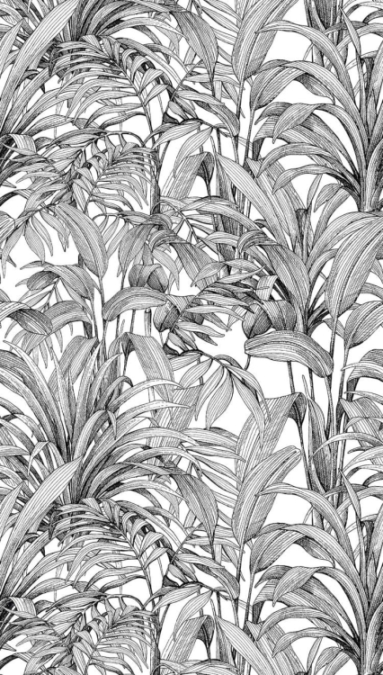 Fototapeta Mural A58301 botaniczne liście czarno białe Grandeco Orom 2.jpg