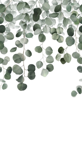 Fototapeta Mural A73201 botaniczna liście Grandeco Orom 2.jpg