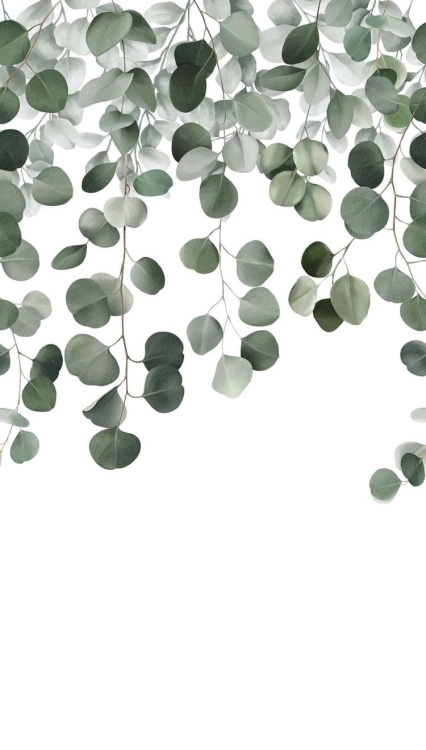 Fototapeta Mural A73201 botaniczna liście Grandeco Orom 2.jpg