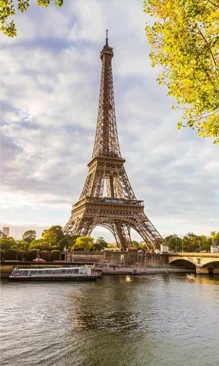 Fototapeta MS-2-0028 Seine in Paris flizelinowa Dimex