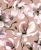 Tapeta ścienna na flizelinie 47465 Marburg Flora motyw kwiatowy kwiaty magnolii