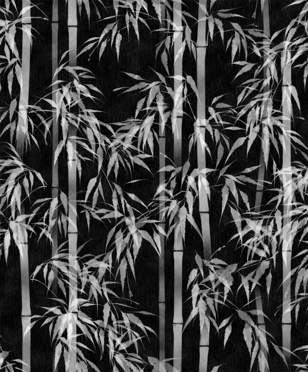 Tapeta ścienna na flizelinie 81672 Novamur Mona Liście bambusa czarne, szare
