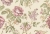 Tapeta ścienna na flizelinie 8306 Cristiana Masi Blooming Garden kwiaty pnącza