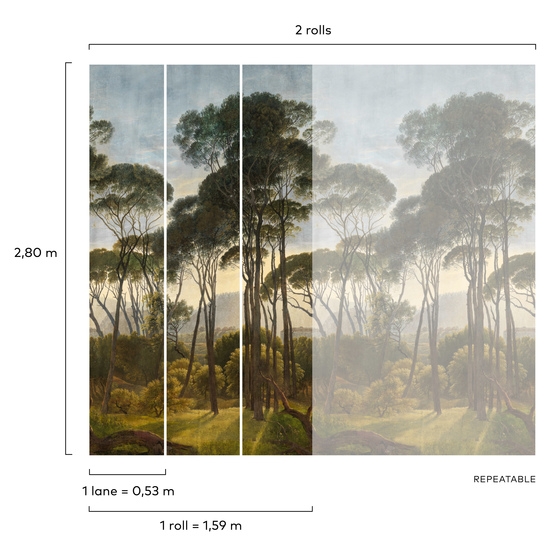 Fototapeta Mural A46301 natura las widok Grandeco Orom 2