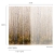 Fototapeta Mural A42601 natura las widok drzewa brzozy Grandeco Orom 2