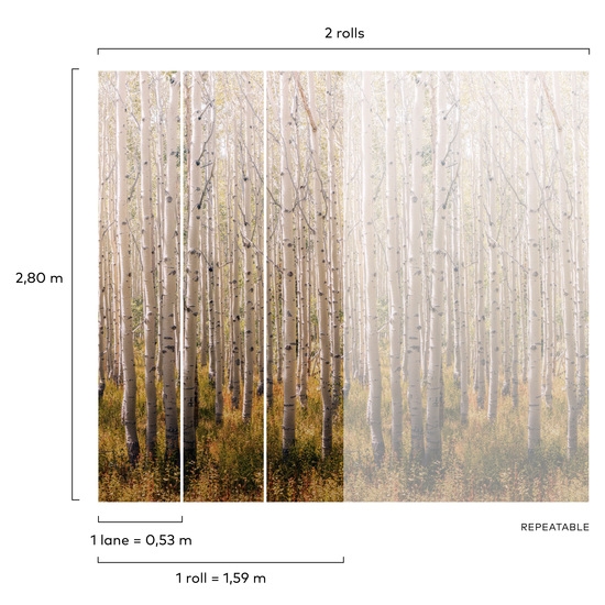 Fototapeta Mural A42601 natura las widok drzewa brzozy Grandeco Orom 2