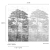 Fototapeta Mural A56702 botaniczna biało czarne drzewa Grandeco Orom 2