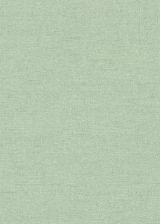 10563-07  Tapeta Erismann Forest Dreams.jpg