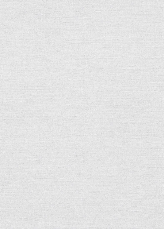 10563-10  Tapeta Erismann Forest Dreams.jpg