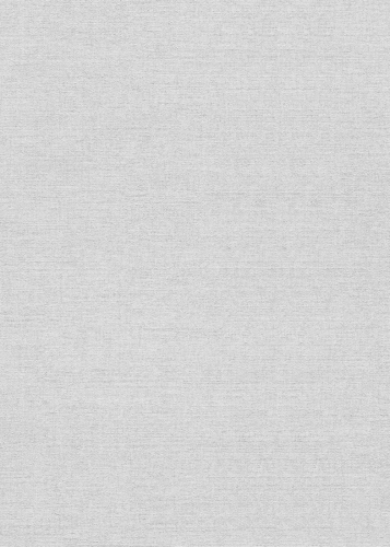 10563-31  Tapeta Erismann Forest Dreams.jpg