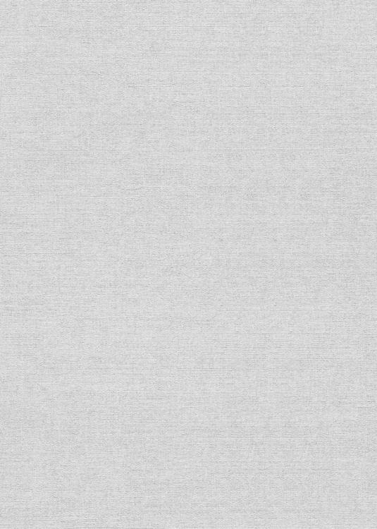 10563-31  Tapeta Erismann Forest Dreams.jpg