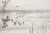 Fototapeta flizelinowa mural 2244-10 Erismann Art Edition Ptaki azji