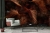 Fototapeta flizelinowa mural 2243-30 Erismann Art Edition Błyszczące palmy