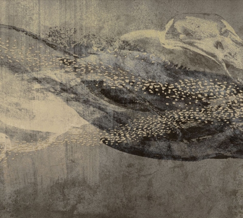 Fototapeta flizelinowa mural 2237-15 Erismann Art Edition Wieloryb głębia oceanu