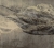 Fototapeta flizelinowa mural 2237-15 Erismann Art Edition Wieloryb głębia oceanu