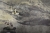 Fototapeta flizelinowa mural 2237-10 Erismann Art Edition Wieloryb głębia oceanu