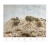 Fototapeta flizelinowa mural 2234-10 Erismann Art Edition Wydmy