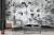 Fototapeta flizelinowa mural 2229-20 Erismann Art Edition Żurawie