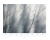 Fototapeta flizelinowa 22088-07-01 Erismann Art Edition 2 Gałązki