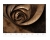 Fototapeta flizelinowa 22082-02-01 Erismann Art Edition 2 Róża
