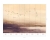 Fototapeta flizelinowa 22079-07-01 Erismann Art Edition 2 Odlatujące ptaki