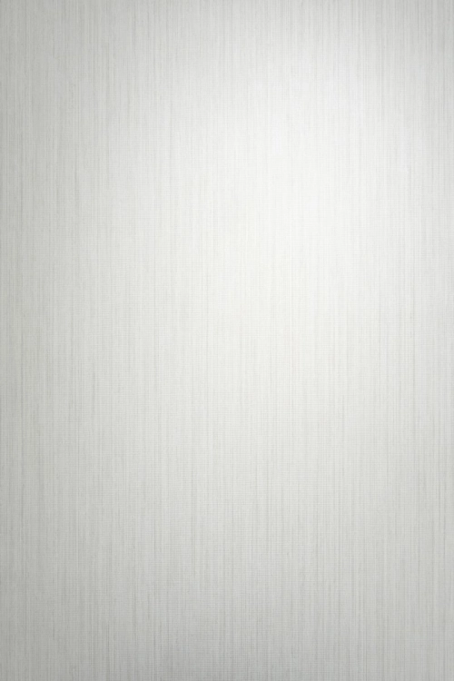 Tapeta Erismann Pure Harmony 10590-38 Zdjęcie.jpg