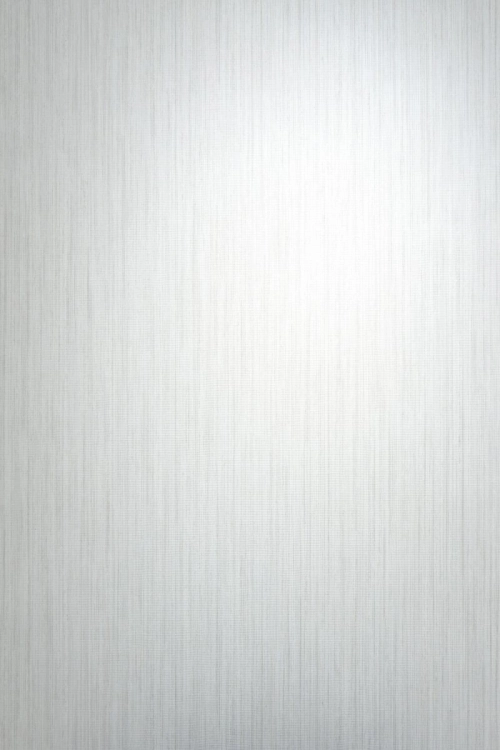 Tapeta Erismann Pure Harmony 10590-31 Zdjęcie.jpg
