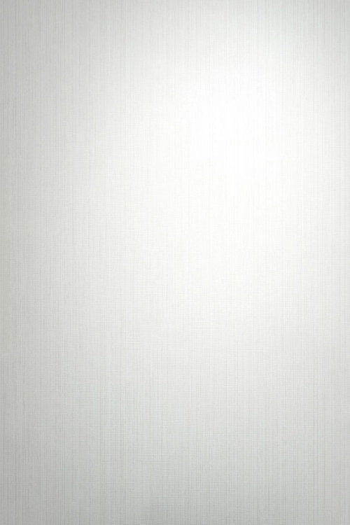 Tapeta Erismann Pure Harmony 10590-14 Zdjęcie.jpg