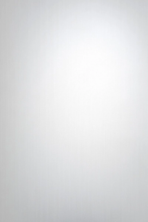 Tapeta Erismann Pure Harmony 10590-01 Zdjęcie.jpg