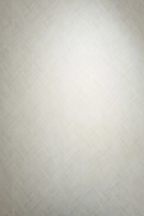 Tapeta Erismann Pure Harmony 10589-38 Zdjęcie.jpg