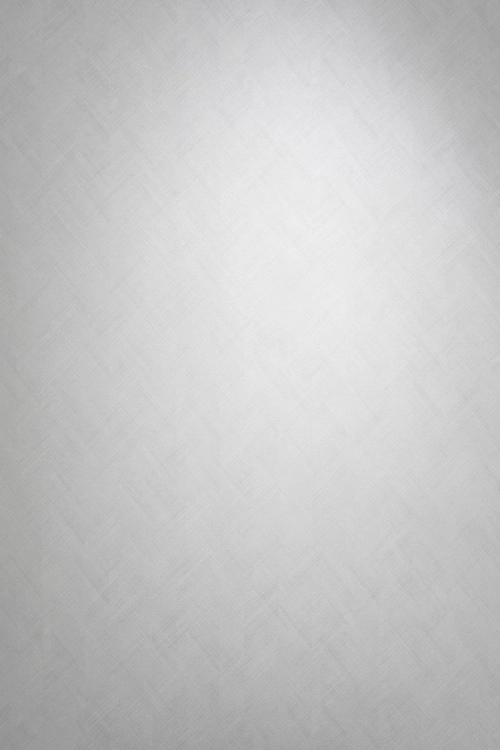 Tapeta Erismann Pure Harmony 10589-31 Zdjęcie.jpg
