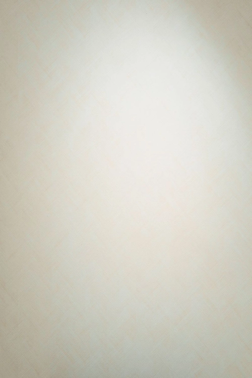 Tapeta Erismann Pure Harmony 10589-14 Zdjęcie.jpg