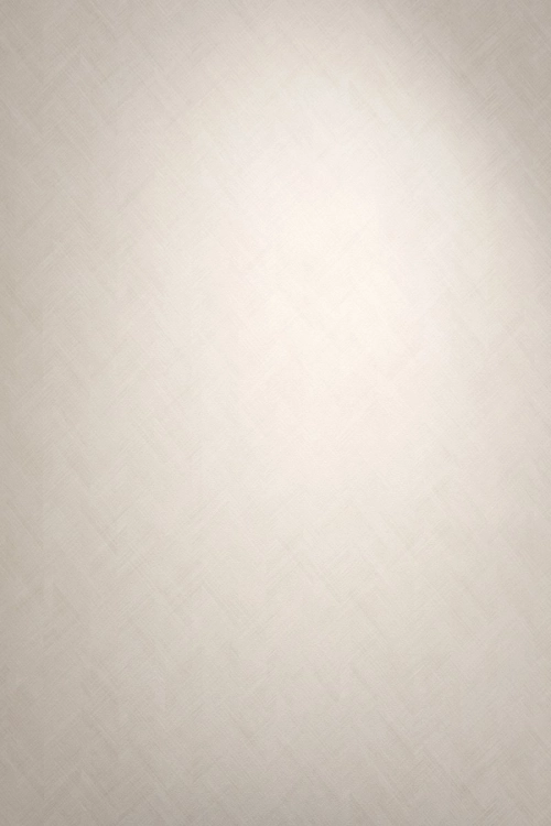 Tapeta Erismann Pure Harmony 10589-05 Zdjęcie.jpg