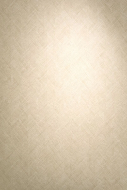 Tapeta Erismann Pure Harmony 10589-02 Zdjęcie.jpg