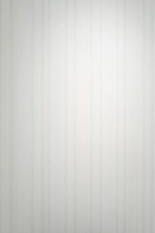 Tapeta Erismann Pure Harmony 10588-14 Zdjęcie.jpg