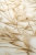 Tapeta Erismann Pure Harmony 10587-11_zoom.jpg