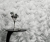 10527-29_room02 Tapeta ścienna Erismann.jpg