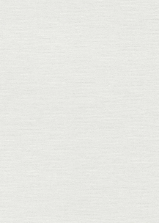 Tapeta biały worek na flizeline 10541-01 Erismann Fashion for Walls 5