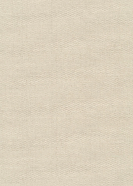 Tapeta na flizeline 10541-02 Erismann Fashion for Walls 5 beżowa struktura worka