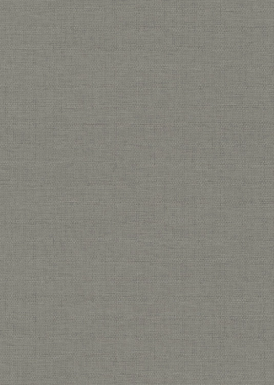 10541-11   Tapeta ścienna Erismann.jpg
