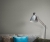10541-11_room02 Tapeta ścienna Erismann.jpg