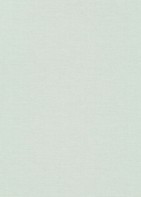 Tapeta seledynowy worek na flizeline 10541-18 Erismann Fashion for Walls 5