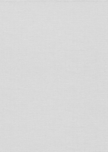 Tapeta jasno szary worek na flizeline 10541-31 Erismann Fashion for Walls 5