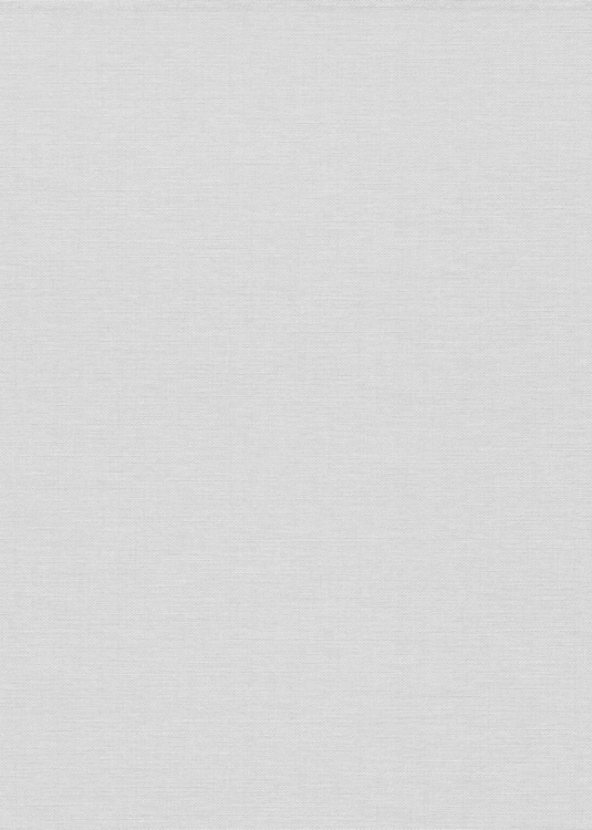 Tapeta jasno szary worek na flizeline 10541-31 Erismann Fashion for Walls 5