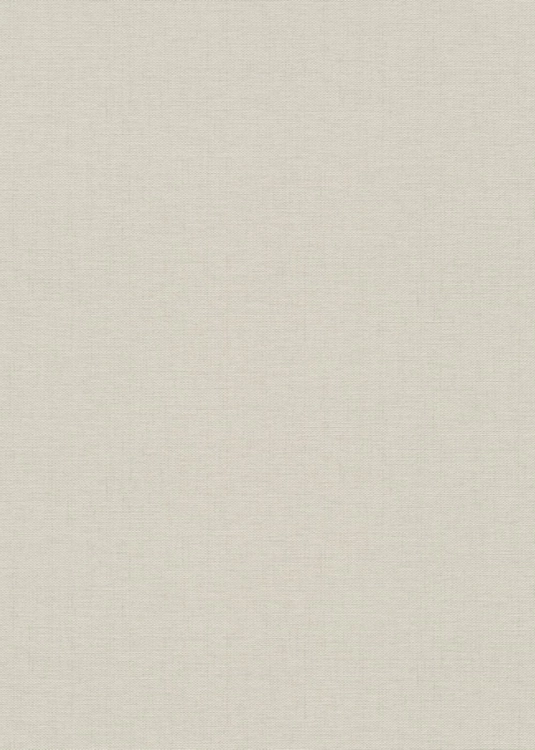 Tapeta beżowo szary worek na flizeline 10541-38 Erismann Fashion for Walls 5