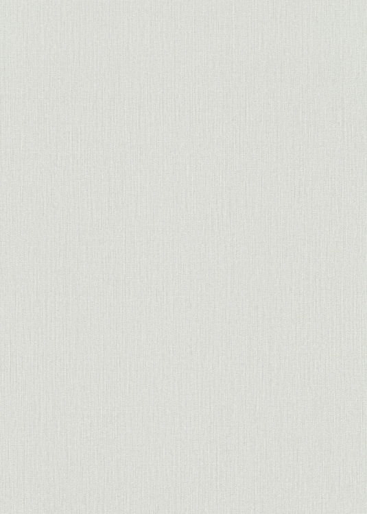 Jasny srebrny prążek tapeta na flizeline 10542-31 Erismann Fashion for Walls 5
