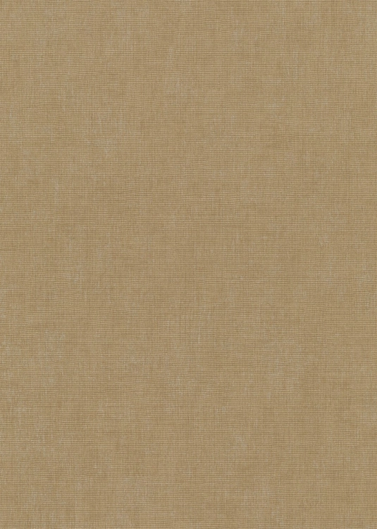 10539-30 Erismann Aurora.jpg