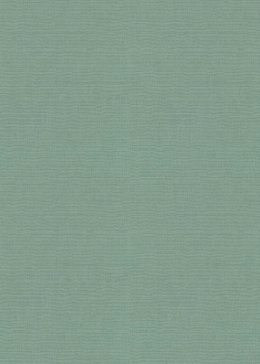 10539-18 Erismann Aurora.jpg