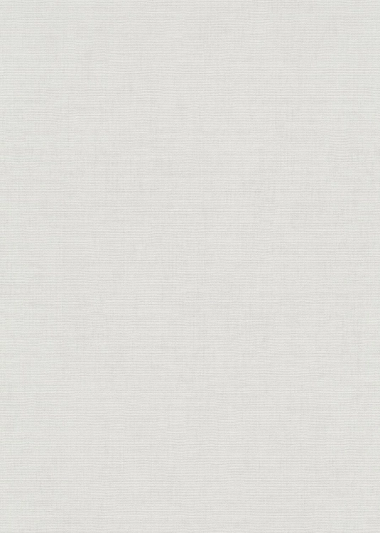 Tapeta ścienna Erismann Aurora 10539-14 jednokolorowa szara worek